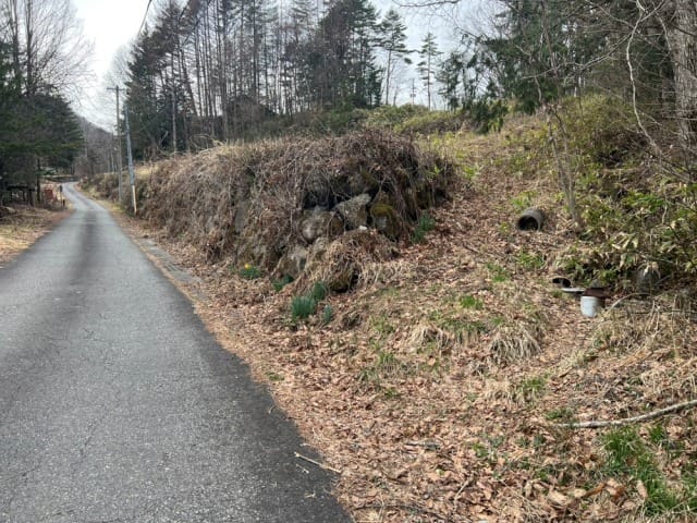 北東から